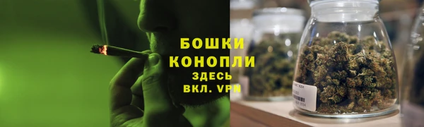 спиды Богородск