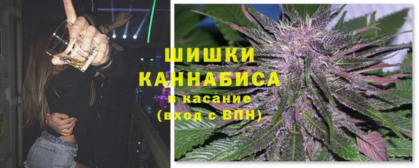 спиды Богородск