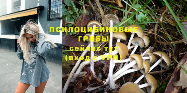тгк Богданович