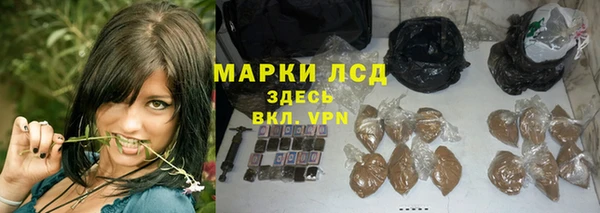 тгк Богданович