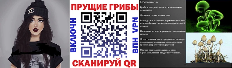 Галлюциногенные грибы MAGIC MUSHROOMS  Раменское 